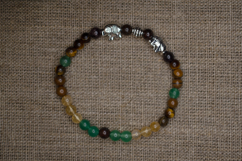 Power & Grace – Kraftvolle Eleganz im Einklang - Tridosha